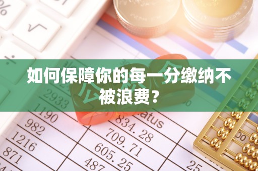 新昌如何保障你的每一分缴纳不被浪费？