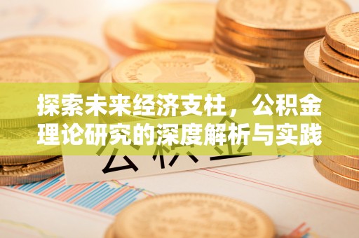新昌探索未来经济支柱，公积金理论研究的深度解析与实践意义