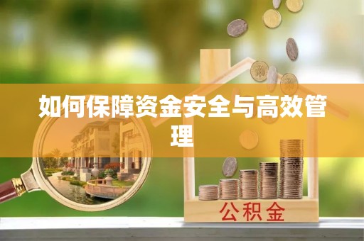 新昌如何保障资金安全与高效管理