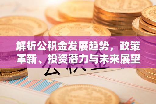 新昌解析公积金发展趋势，政策革新、投资潜力与未来展望
