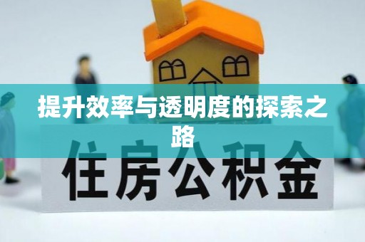新昌提升效率与透明度的探索之路