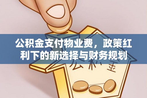 新昌公积金支付物业费，政策红利下的新选择与财务规划