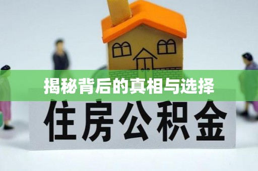 新昌揭秘背后的真相与选择