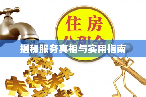新昌揭秘服务真相与实用指南