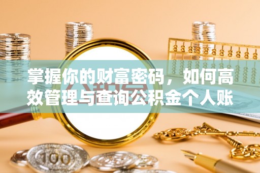 新昌掌握你的财富密码，如何高效管理与查询公积金个人账户信息