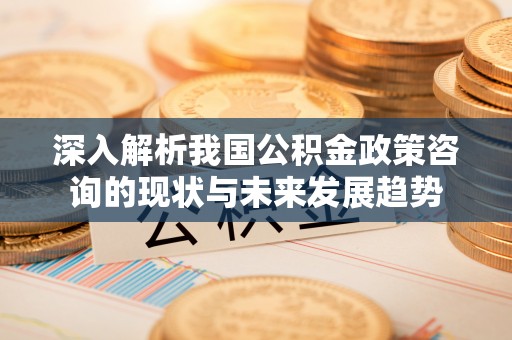新昌深入解析我国公积金政策咨询的现状与未来发展趋势
