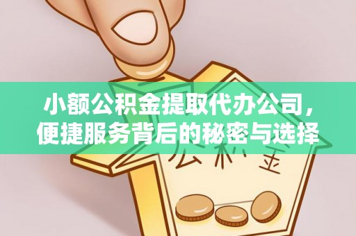 新昌小额公积金提取代办公司，便捷服务背后的秘密与选择指南