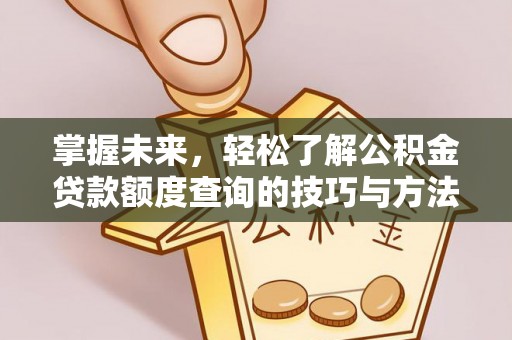新昌掌握未来，轻松了解公积金贷款额度查询的技巧与方法