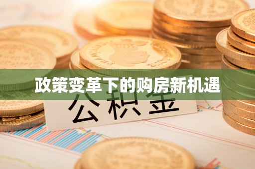 新昌政策变革下的购房新机遇