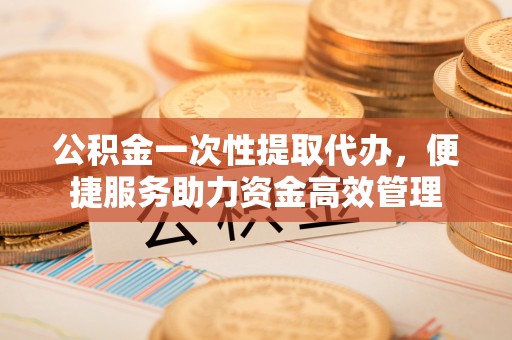新昌公积金一次性提取代办，便捷服务助力资金高效管理