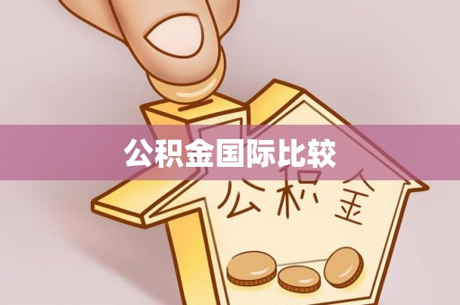 新昌公积金国际比较