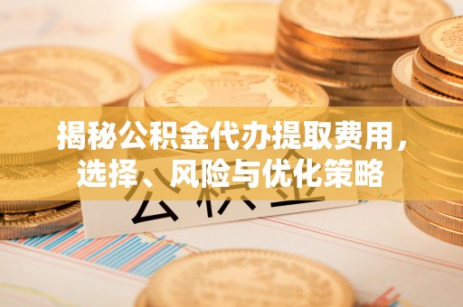 新昌揭秘公积金代办提取费用，选择、风险与优化策略