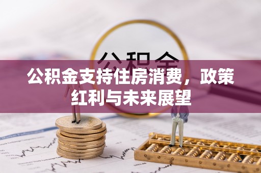 新昌公积金支持住房消费，政策红利与未来展望