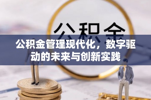 新昌公积金管理现代化，数字驱动的未来与创新实践