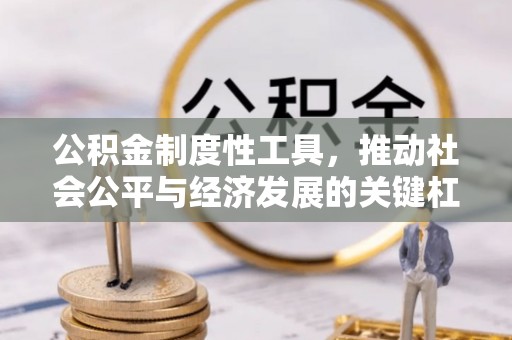 新昌公积金制度性工具，推动社会公平与经济发展的关键杠杆