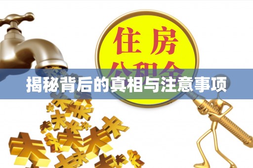 新昌揭秘背后的真相与注意事项