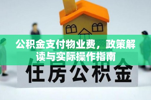 新昌公积金支付物业费，政策解读与实际操作指南