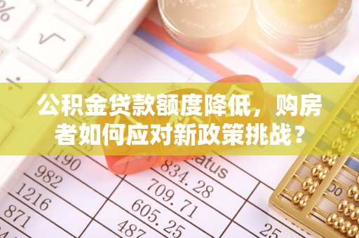 新昌公积金贷款额度降低，购房者如何应对新政策挑战？
