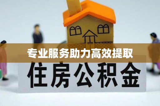 新昌专业服务助力高效提取